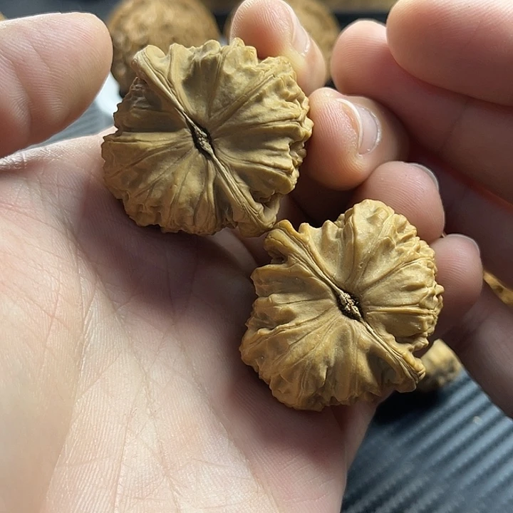把件文玩核桃36全品白狮子