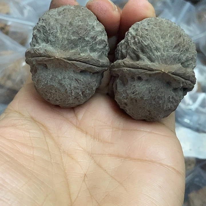 文玩核桃把件云南铁核桃基地53