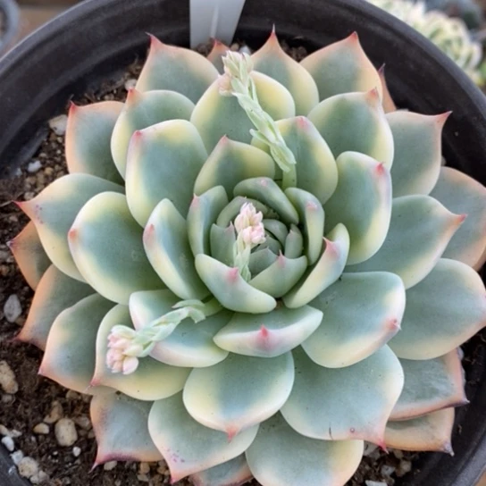 141一一一一一一一一一