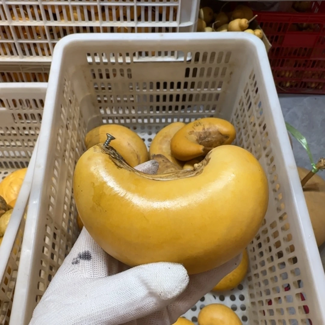 布***织哈哈哈哈哈哈哈哈哈哈哈