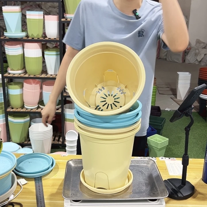 特价圆控口21高21混色带托5只