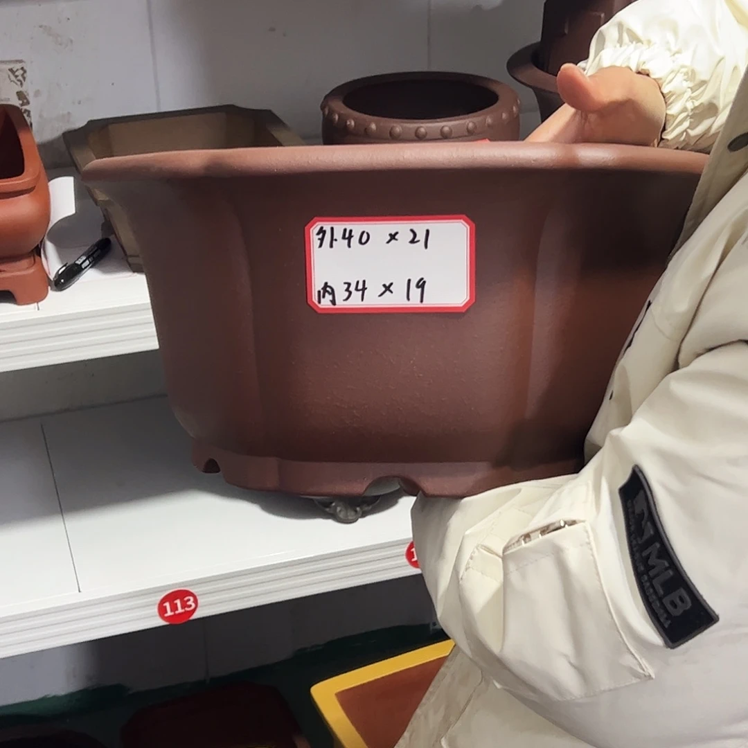 紫砂其他紫砂花盆