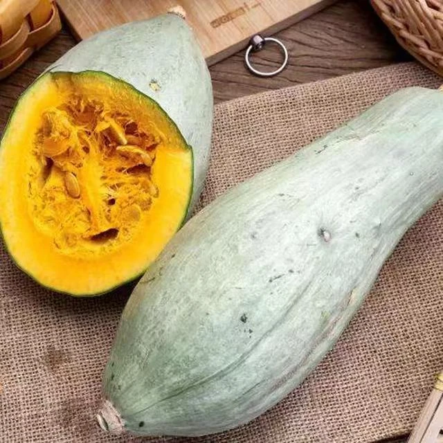 M【新疆直发】贵族南瓜  粉香甜糯净重6-7斤