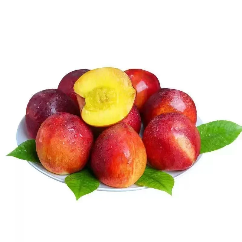 【产地直发】2025头茬黄肉红油桃应季新鲜水果现摘现发脆甜可口