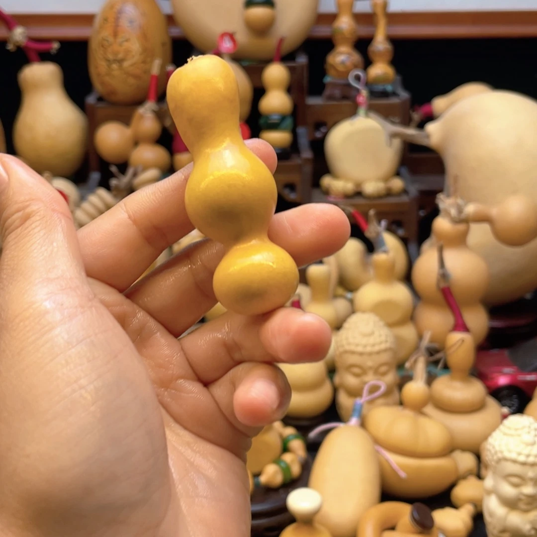 休*大自然的秘密第十一节课的