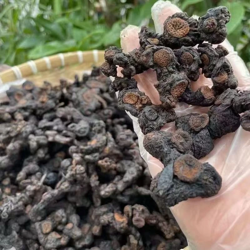 云南黄精中越边境15年以上老黄精九蒸九晒 煲汤泡水煮水泡酒