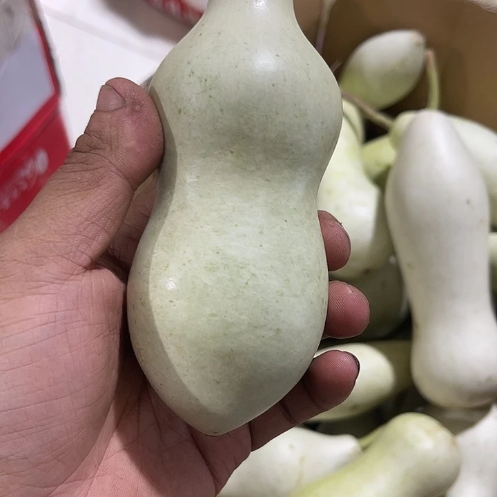 非洲紫檀（红花梨）?****?