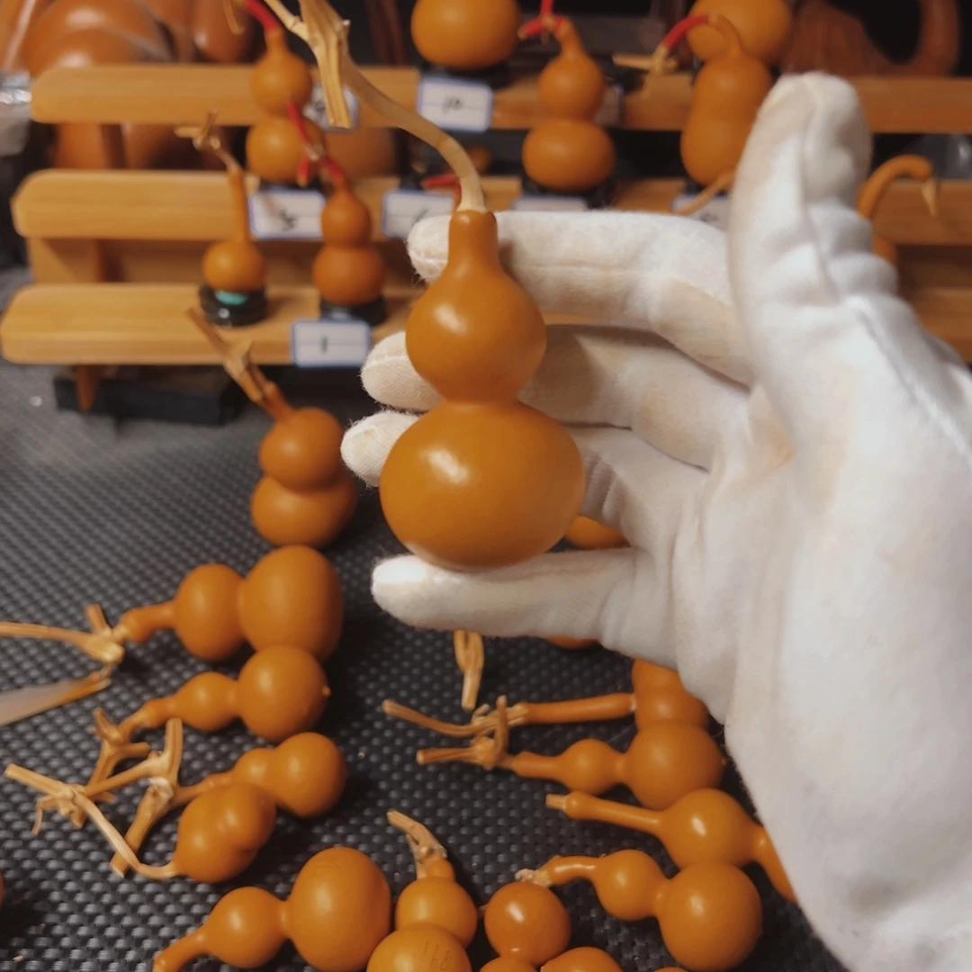 ****橙精品天津嘴葫芦11