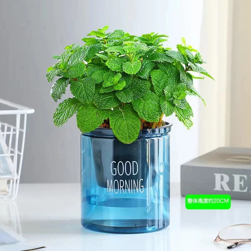 【精选薄荷】可食用留兰香四季常青好养易活耐寒阳台绿植驱蚊植物