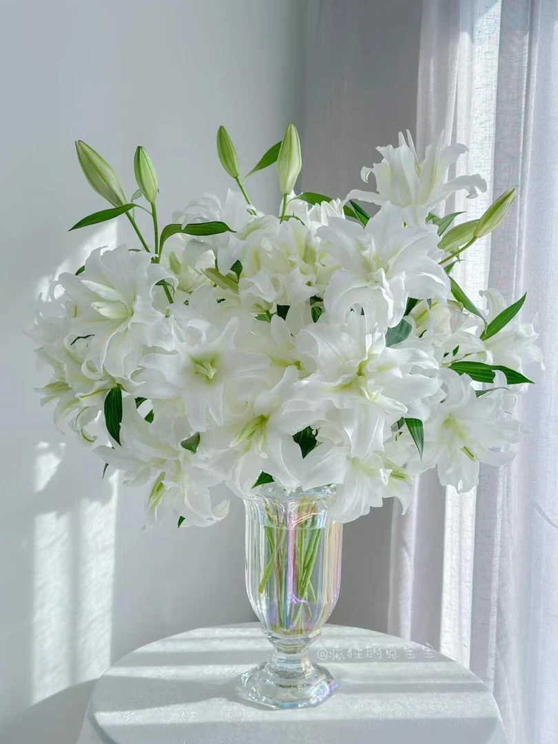 【白色重瓣百合】 全场任意两单京东/顺丰