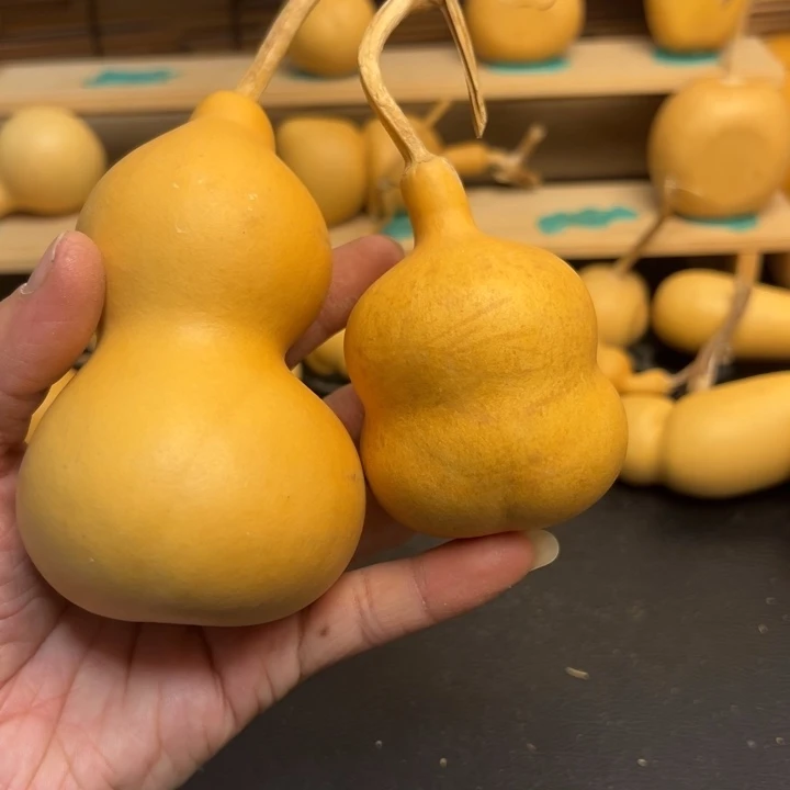 喝****e葫芦葫芦葫芦葫芦葫芦葫芦葫芦