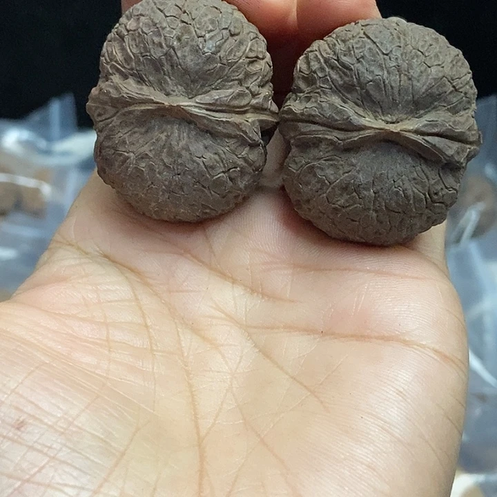 文玩核桃把件云南铁核桃基地88