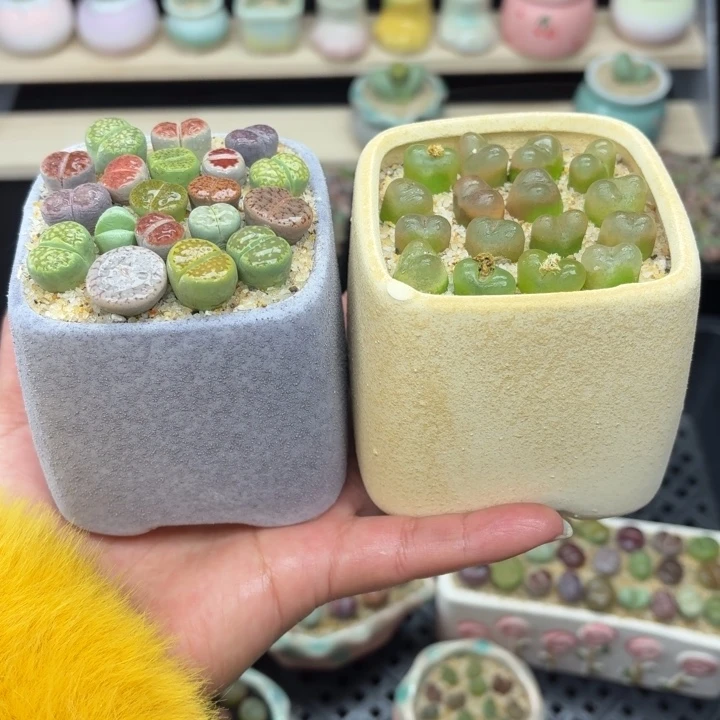 6009零下地区记得拍保温箱