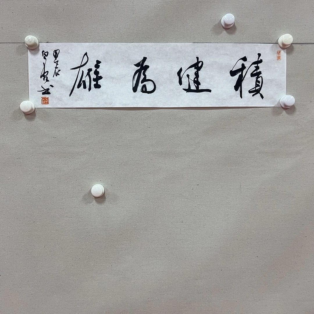 国画白光艺术精品