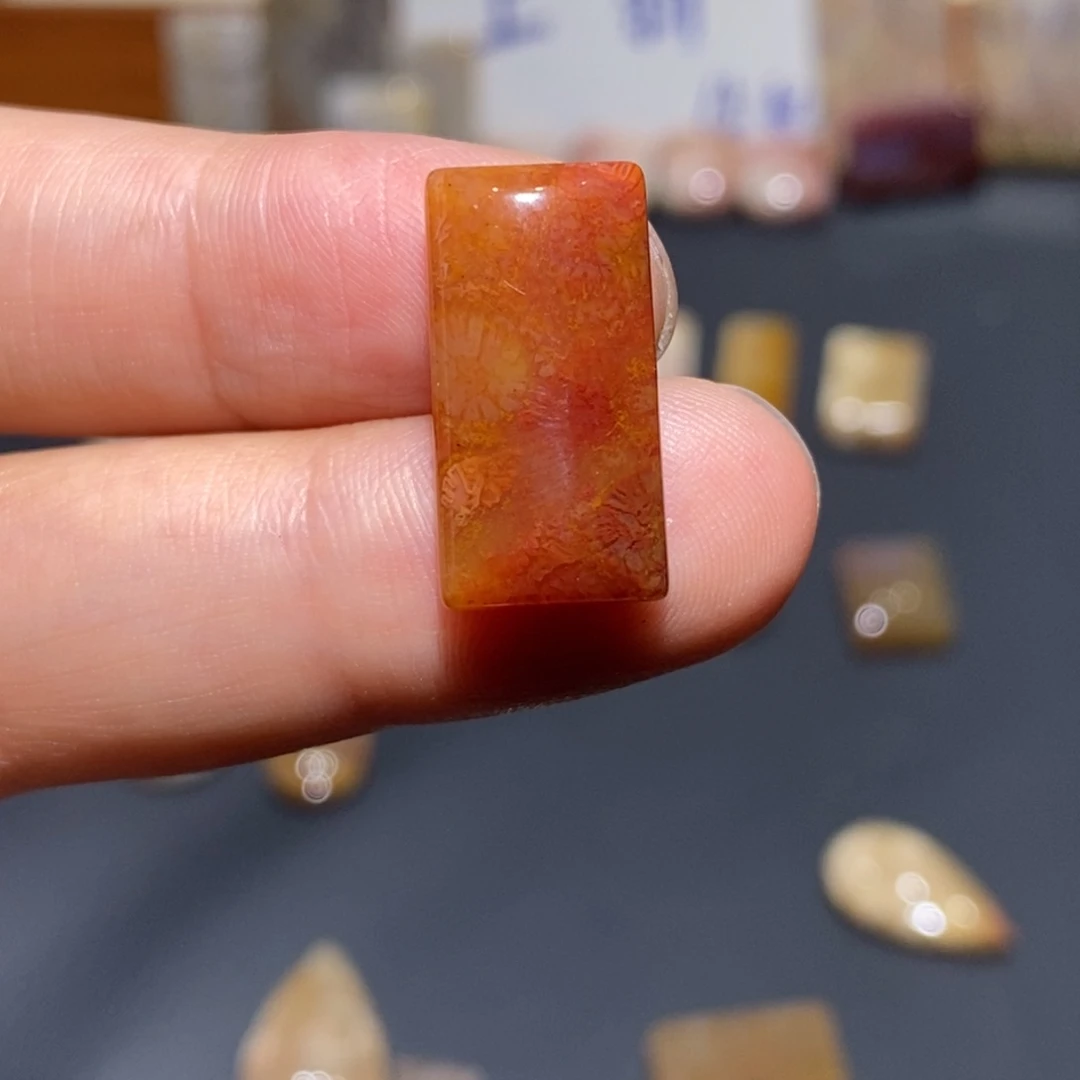 【闪购商品】未镶嵌珊瑚玉硅化玉