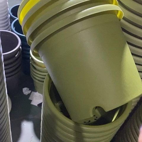 树脂四季3号果绿无托10个微瑕