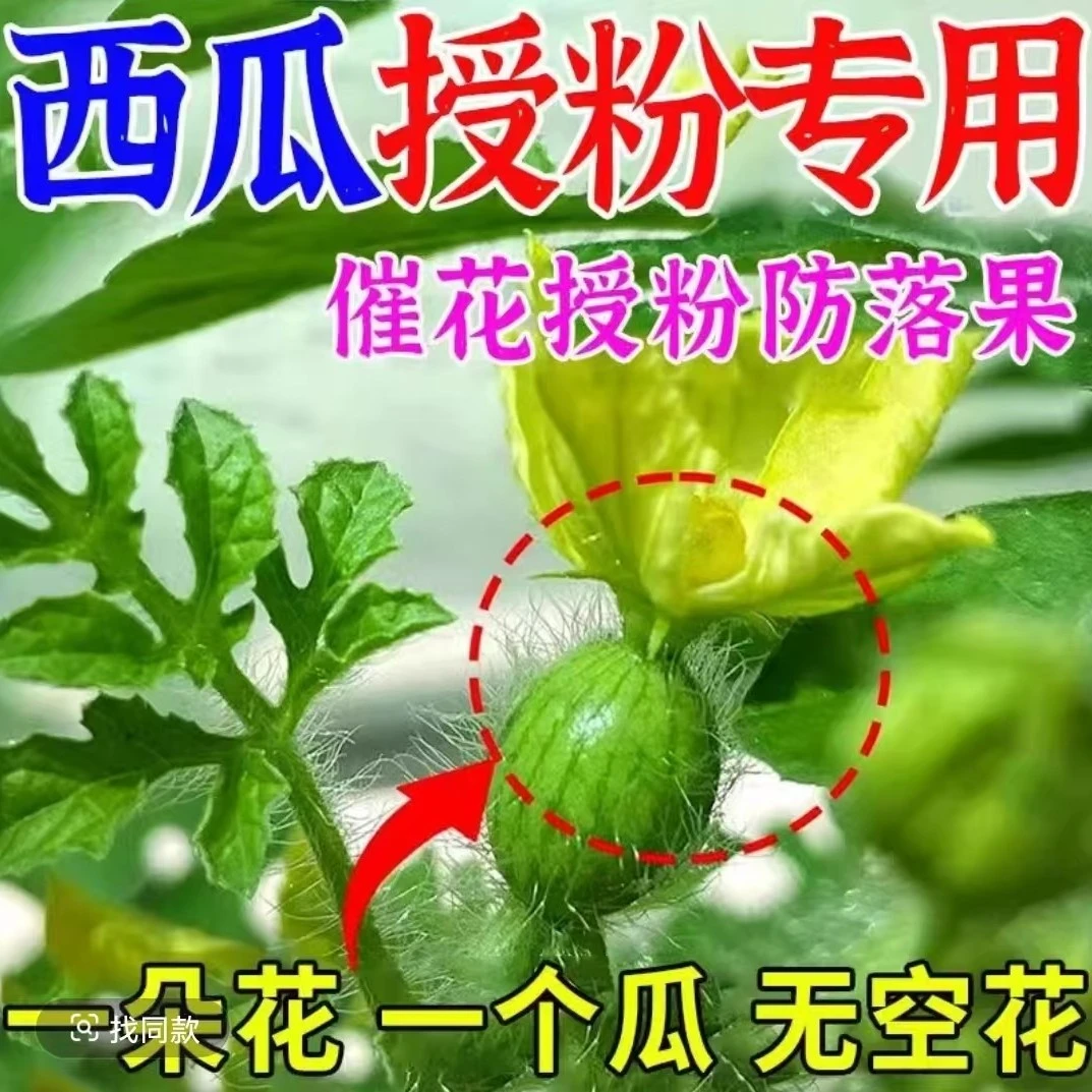 西瓜专用坐果灵授粉神器提高坐果率阴天不影响座果率起果迅速