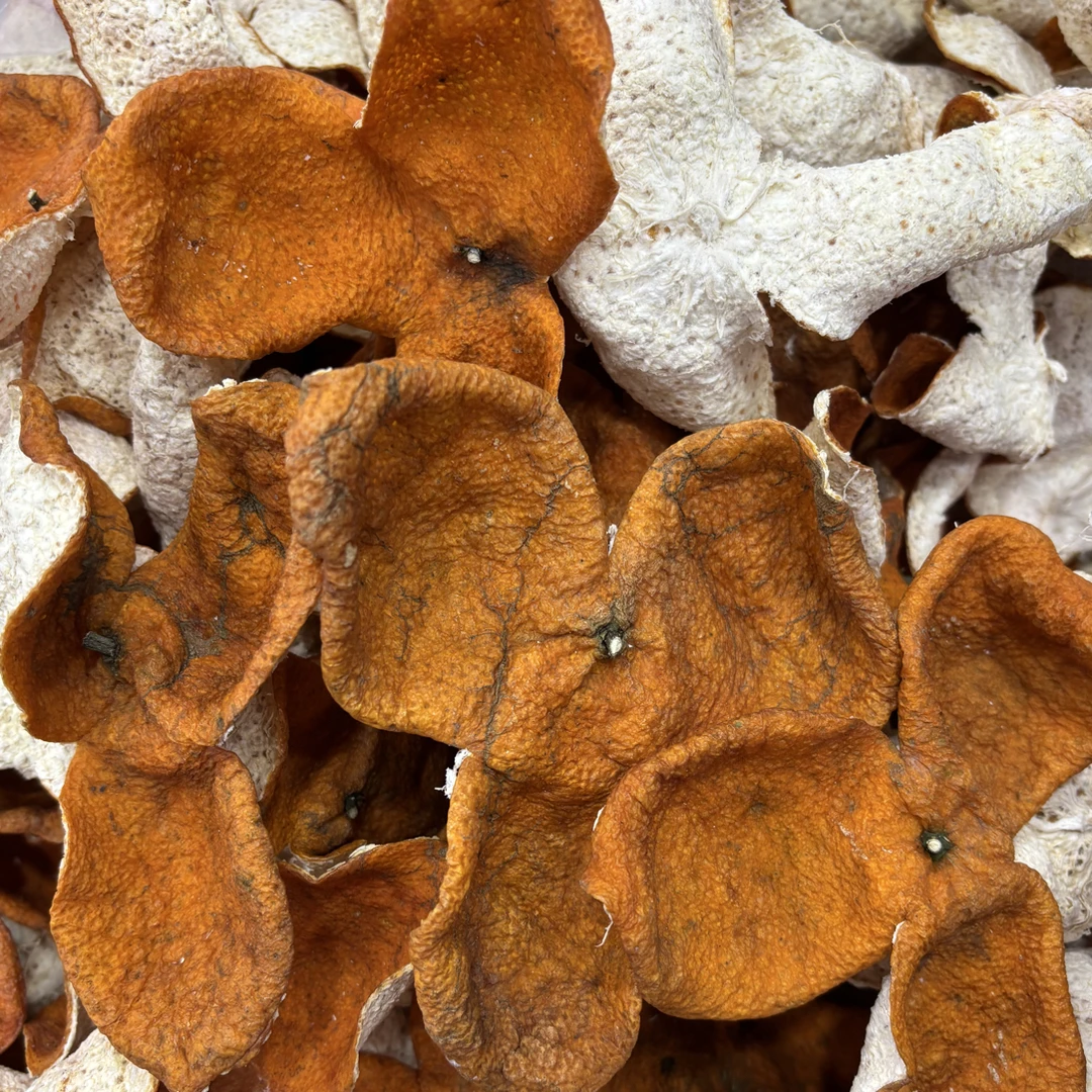 【广西浦北陈皮】2025年冬后老树大紅皮  （22年树龄）