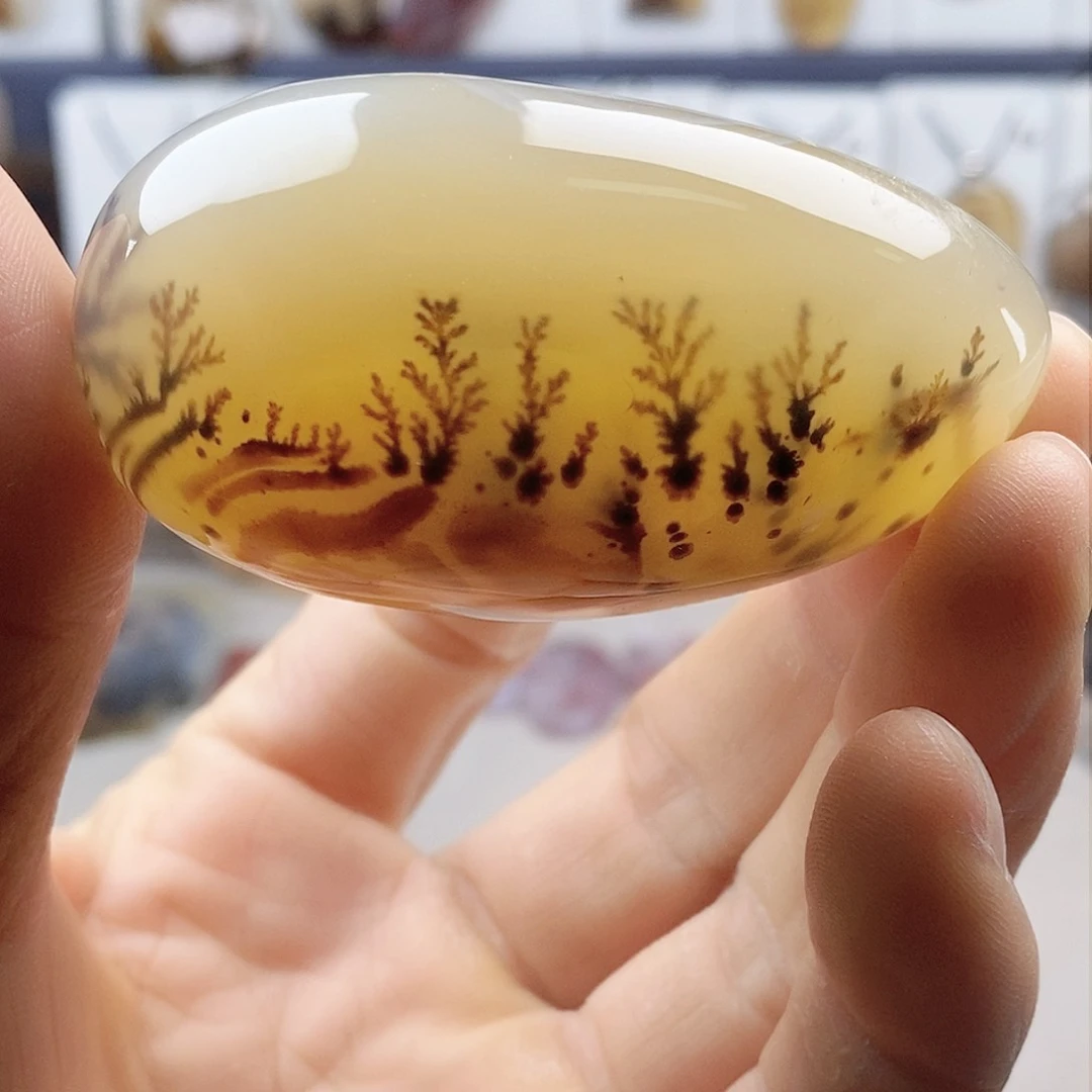 未镶嵌玛瑙/玉髓珠宝奇石