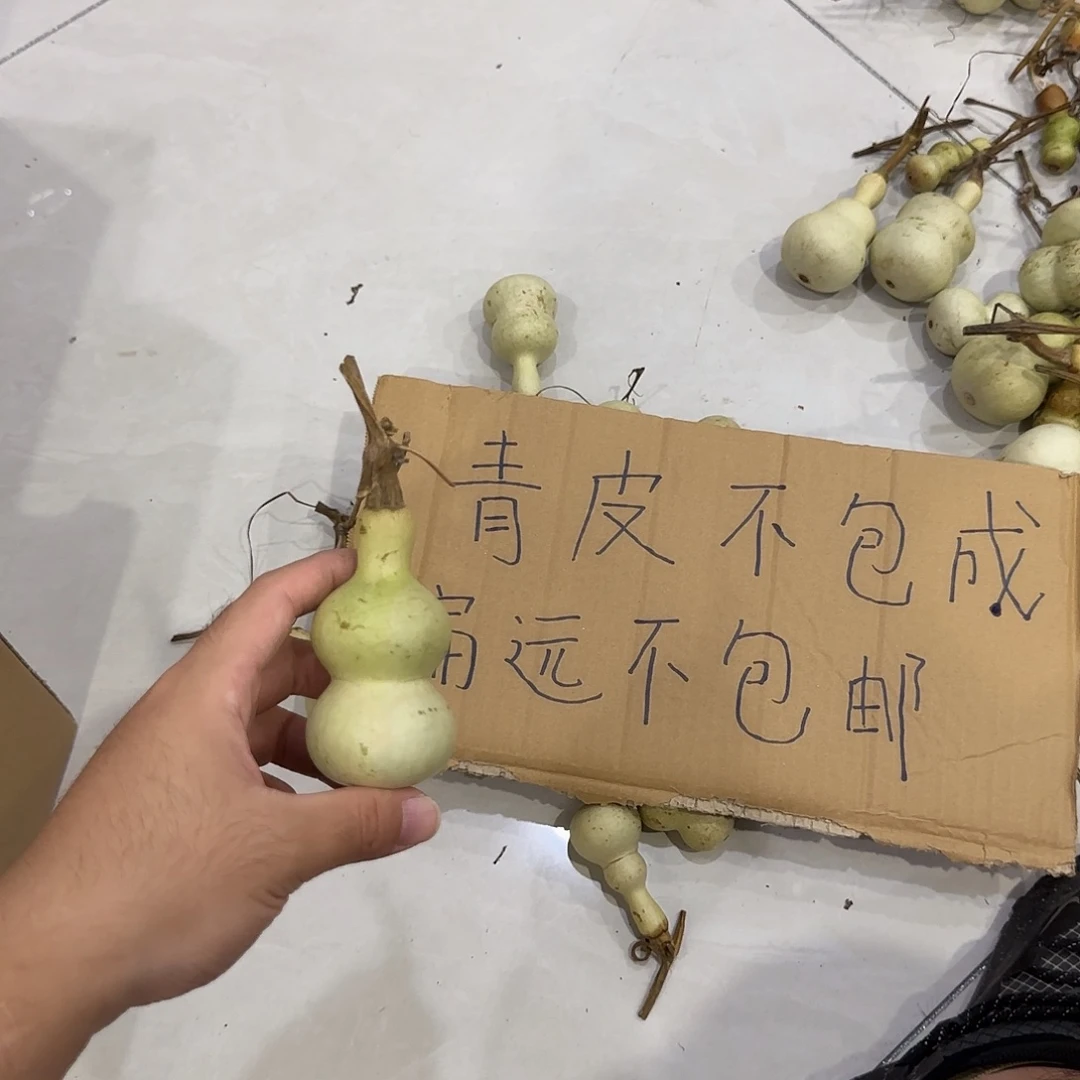 大***龙葫芦dnndndnsnsnssns