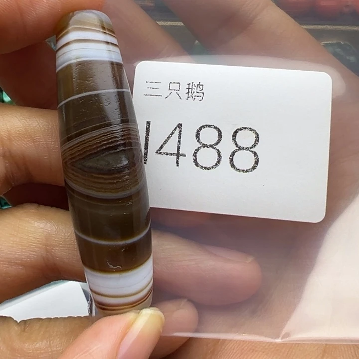 吊坠菩提根/象牙果