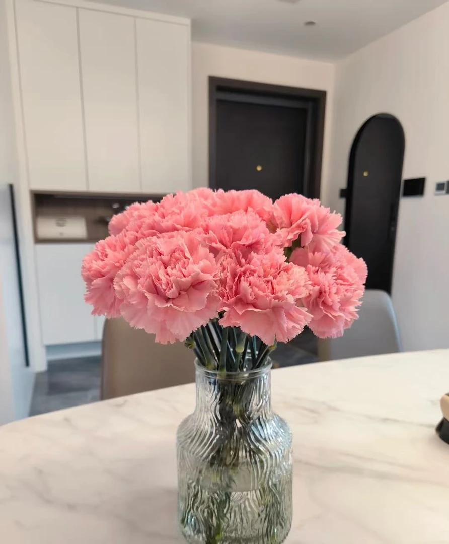 【新疆包邮】康乃馨一把15支送5支家居鲜花