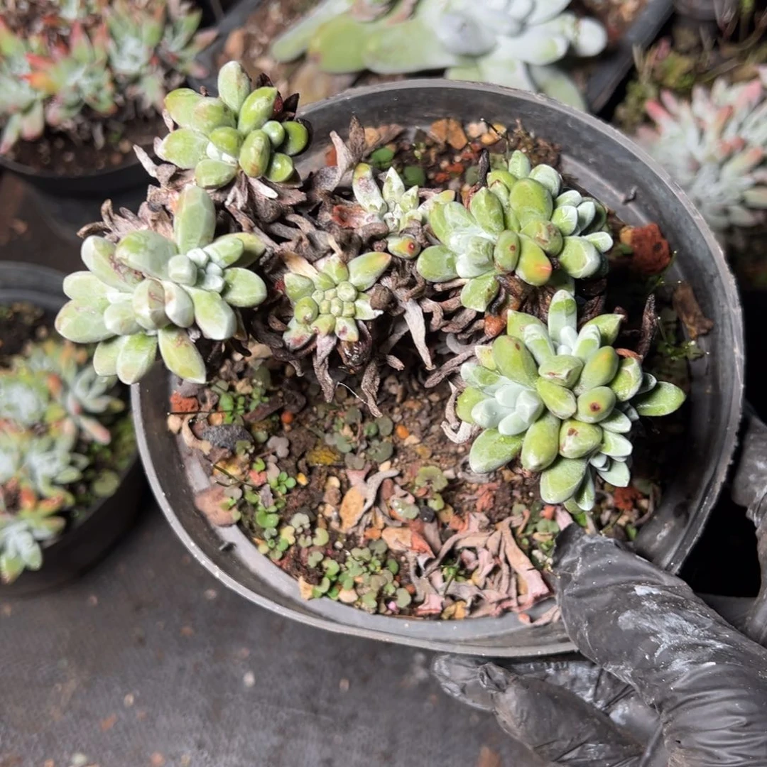 4666哈哈哈哈哈哈哈哈