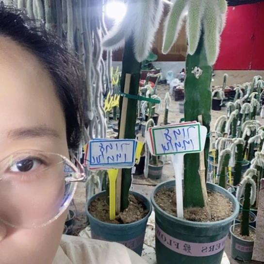 @****7198脱土发货无售后