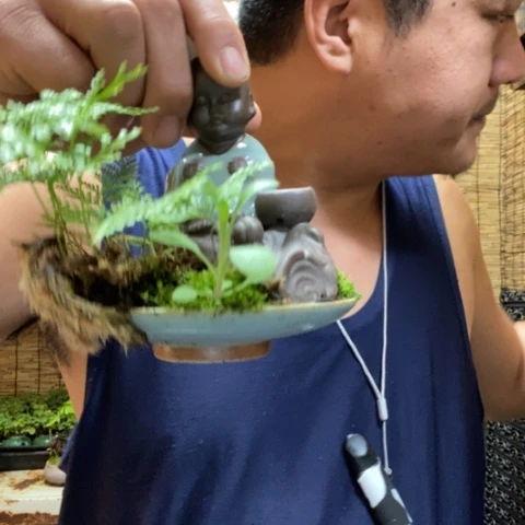 红陶茶*一物一拍所见即所得85