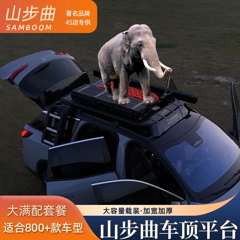 山步曲力帆迈威 X50 X80 X60 瑞风S7车顶拓展改装平台爬梯卫士款