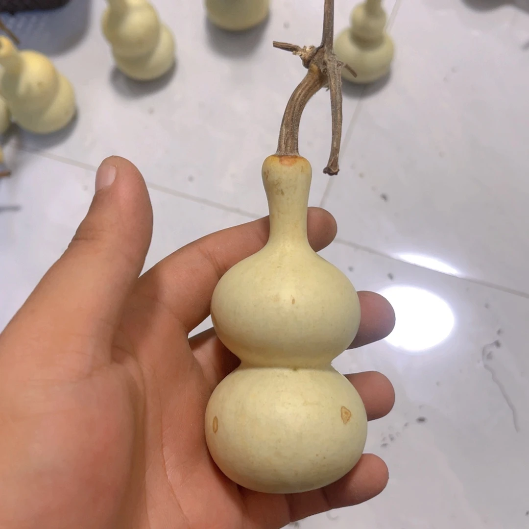 花***迷感谢大哥支持兄弟不保