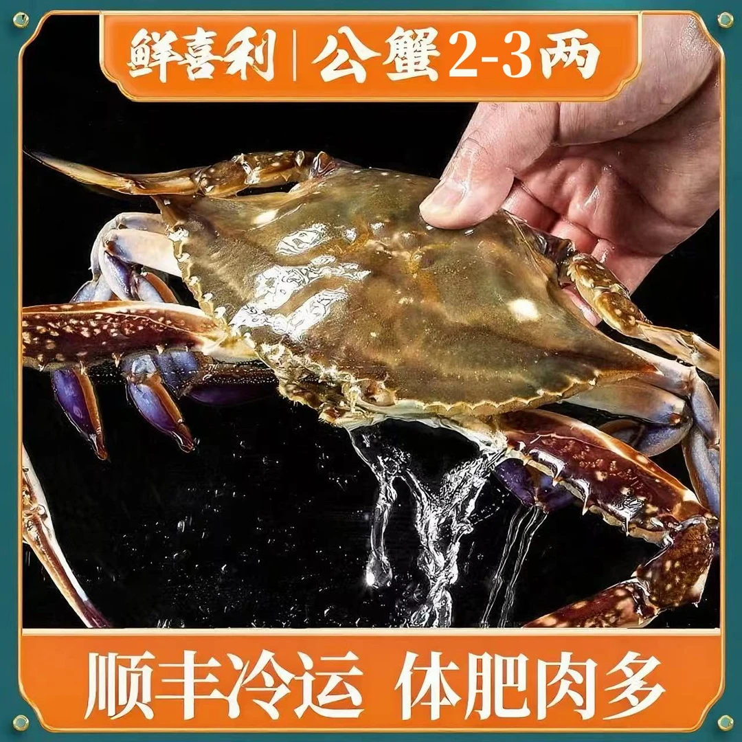 N 舟山公蟹梭子蟹3两左右/只（12只3斤左右，含赠品）不可清蒸【冻蟹】