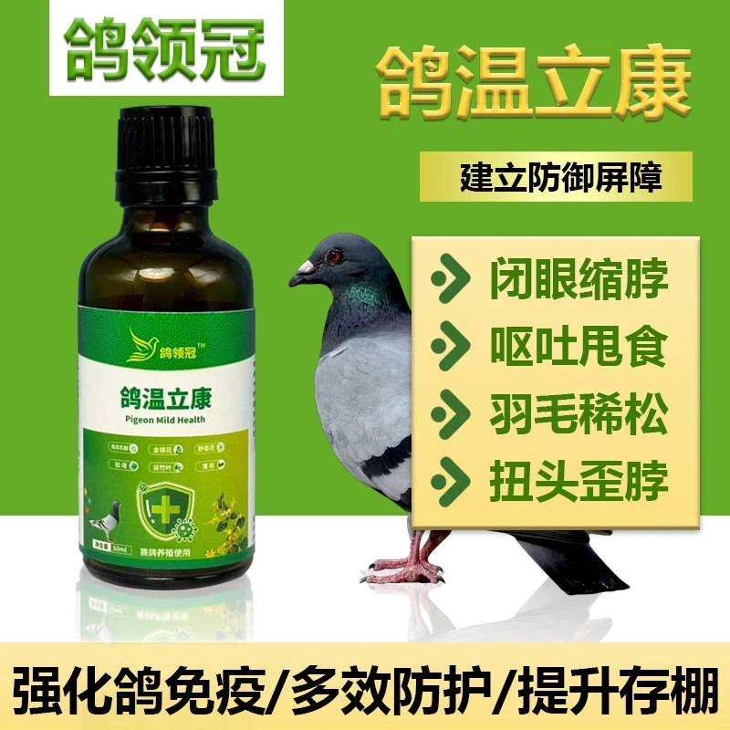 鸽领冠鸽温立康非鸽药鸽子药品拉稀水便新城疫甩拉吐专用品