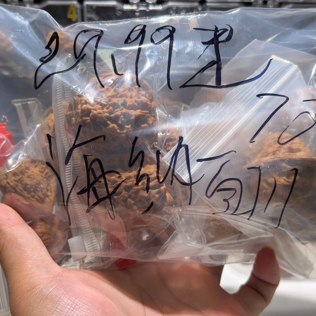 核桃把件海***.七对  不退换福利