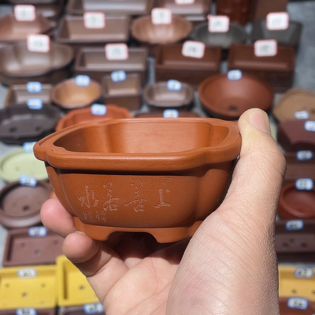 紫砂紫砂小盆8*3