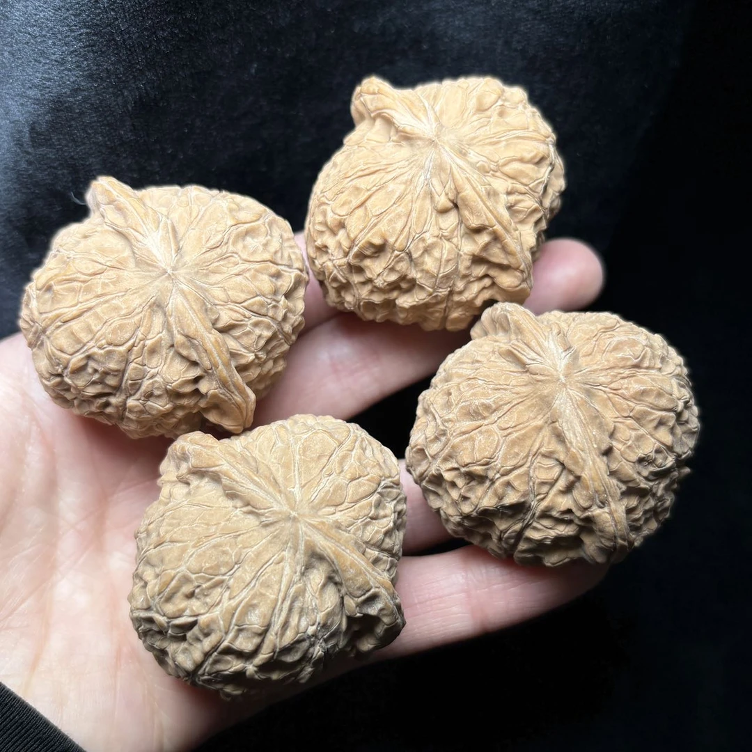 【曹掌柜精选】26 G94301-核桃南瓜墩（全品）-多样性发其一-44mm+