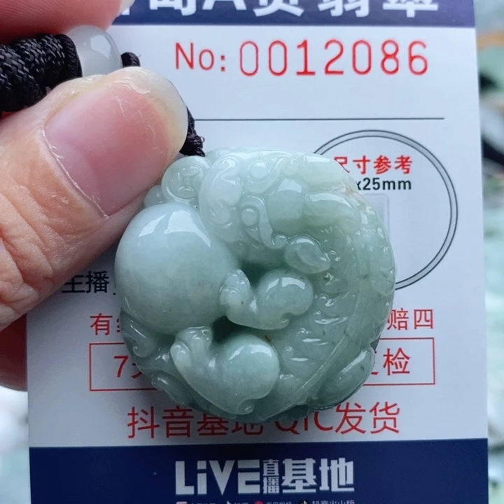 翡翠未镶嵌颈饰一
