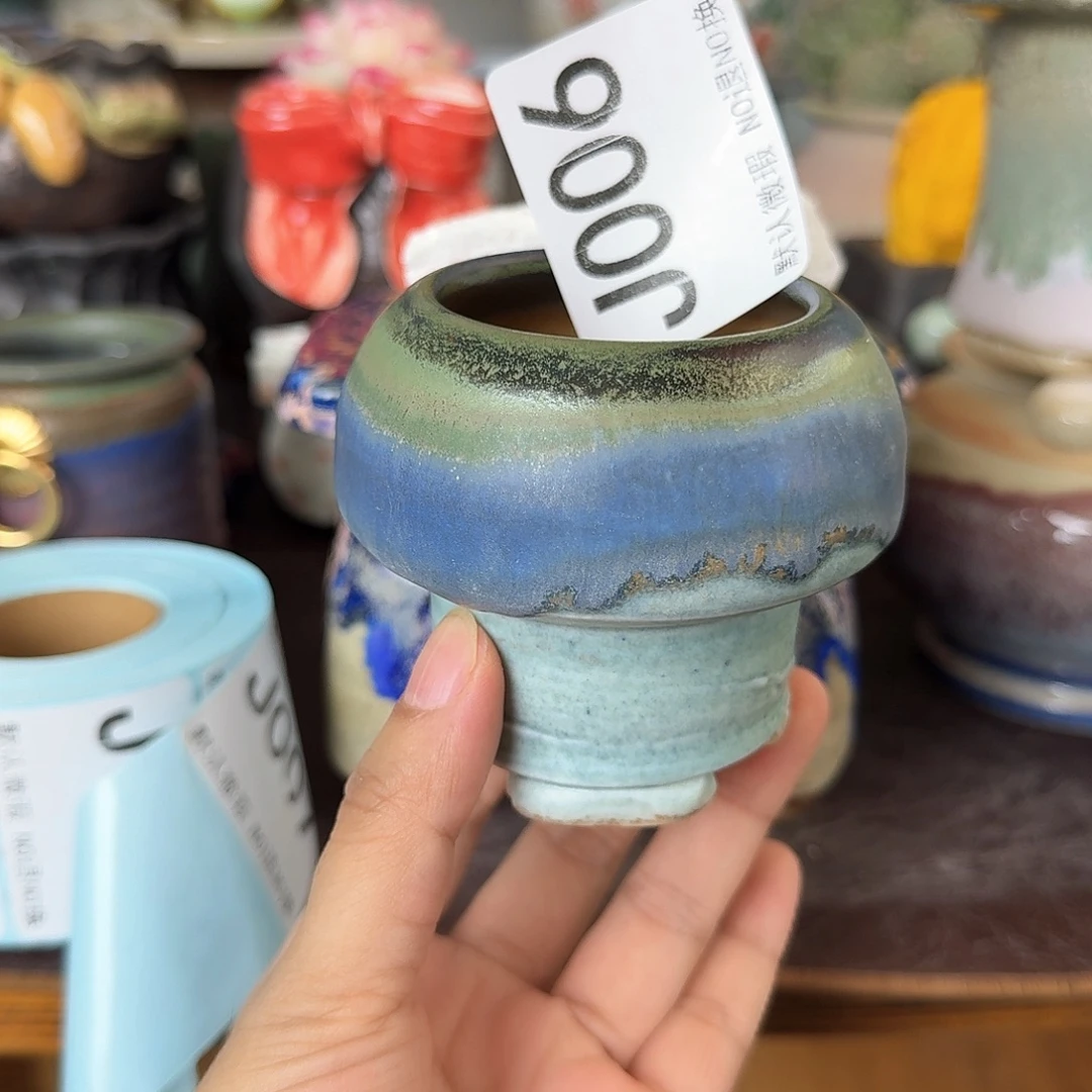 重庆小燕子欢迎大家006