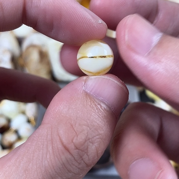 琥珀未镶嵌裸石我