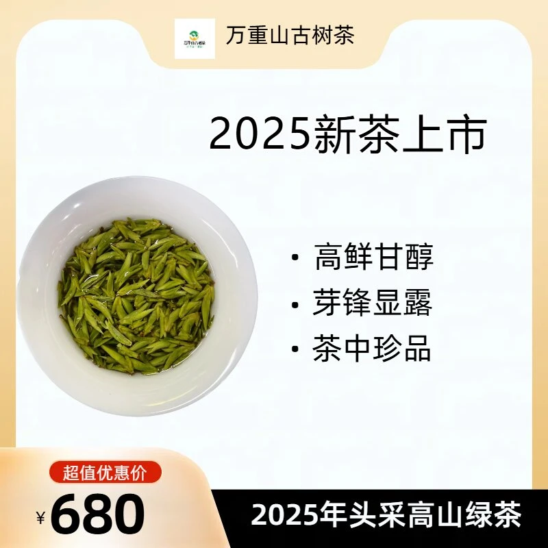 2025龙井（润芽版）高山龙井头春头采680嫩芽头/浓豆花香鲜醇耐泡