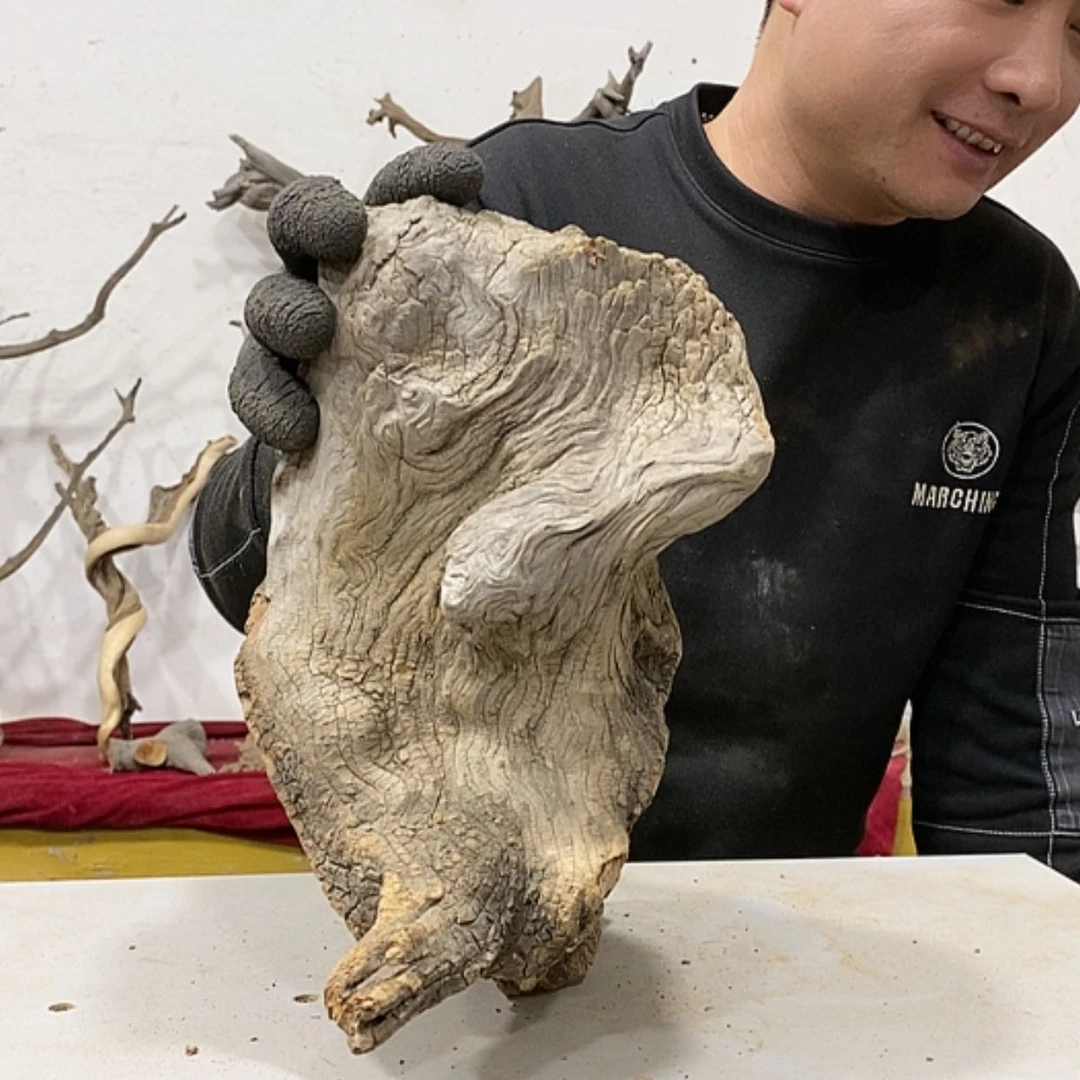 【闪购商品】柏木小*～我们都是好孩子