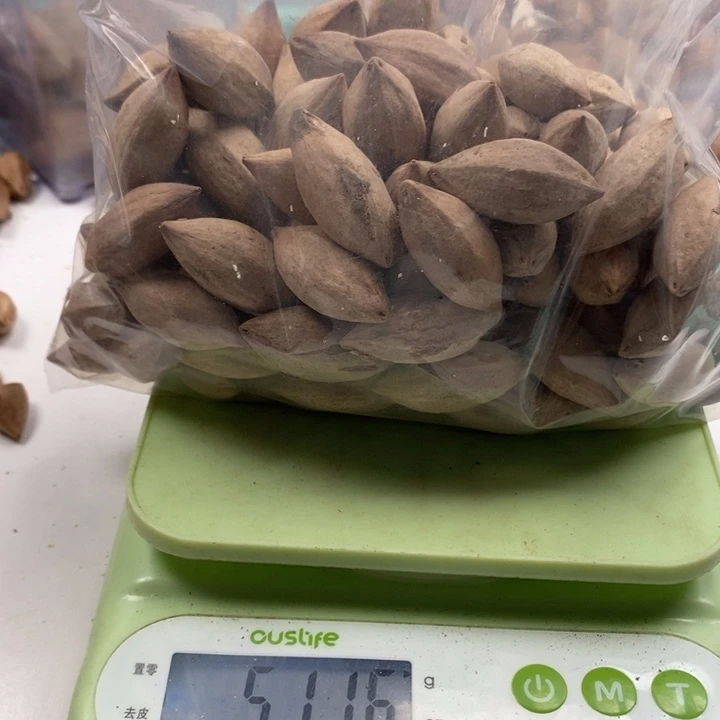 陕***流手串/手链橄榄核橄榄核雕
