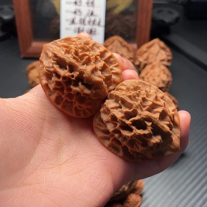 左***指手串/手链核桃秦岭