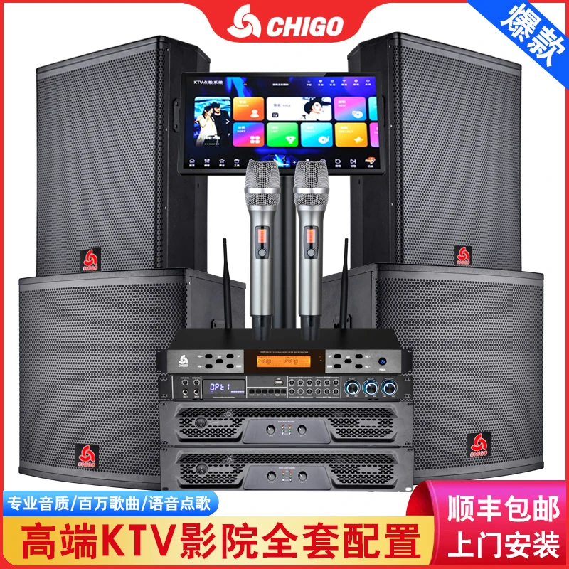 Chigo/志高91310000690161476B家庭影院音箱专业音响话筒酒吧唱歌