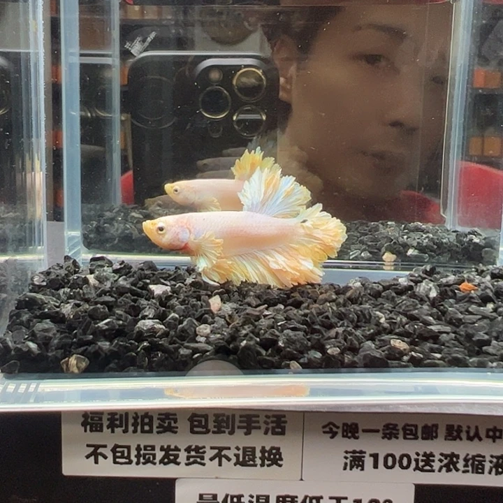 斗鱼跑單拉黑27日108