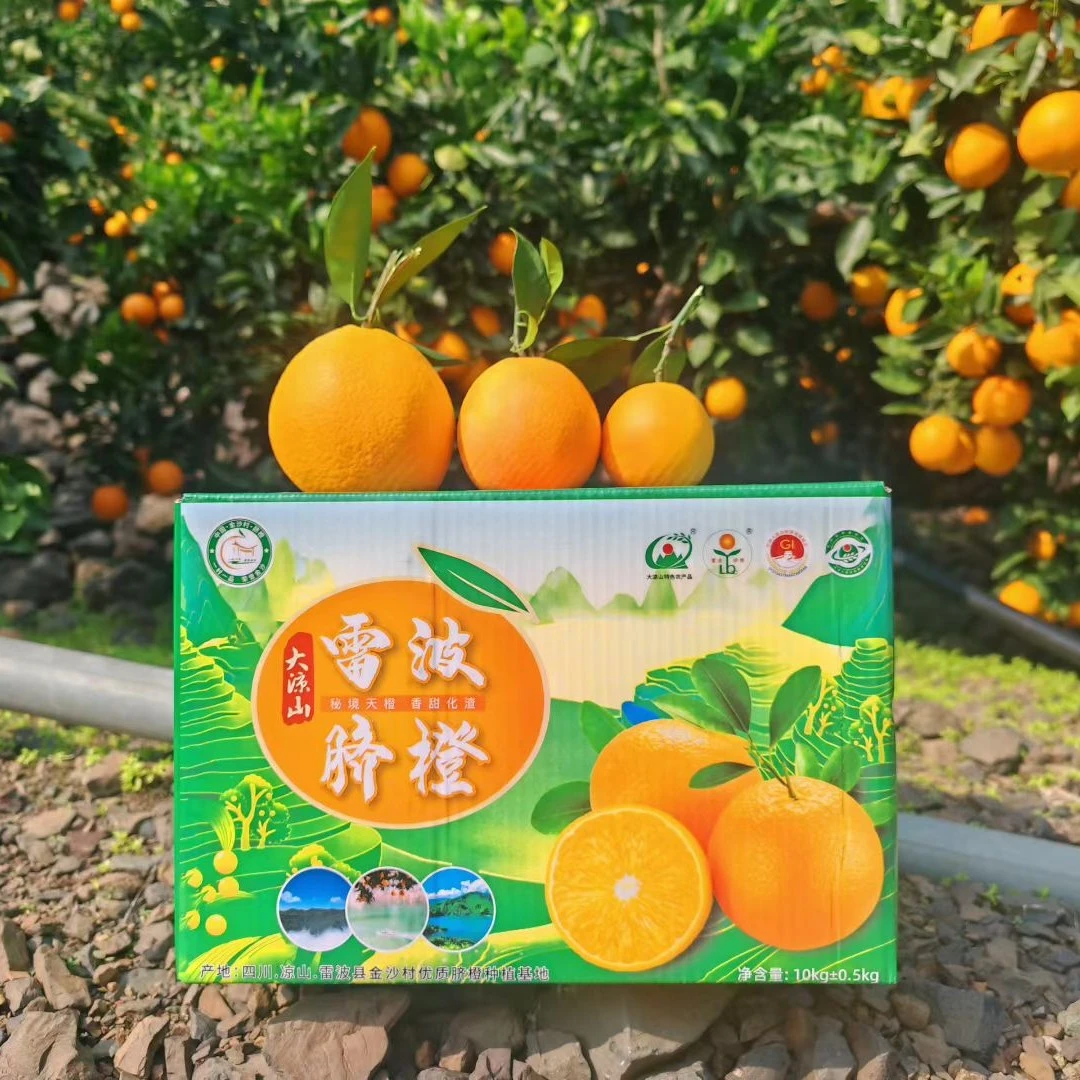 雷波脐橙新鲜应季水果孕妇可食香甜爆汁现摘直发非赣南奉节果冻橙
