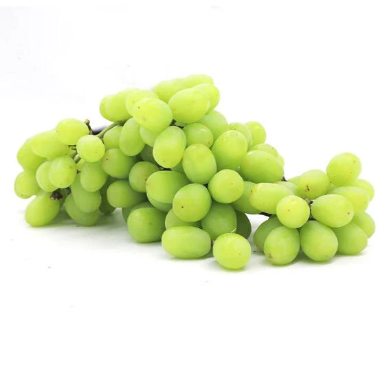 进口青提 1.36kg