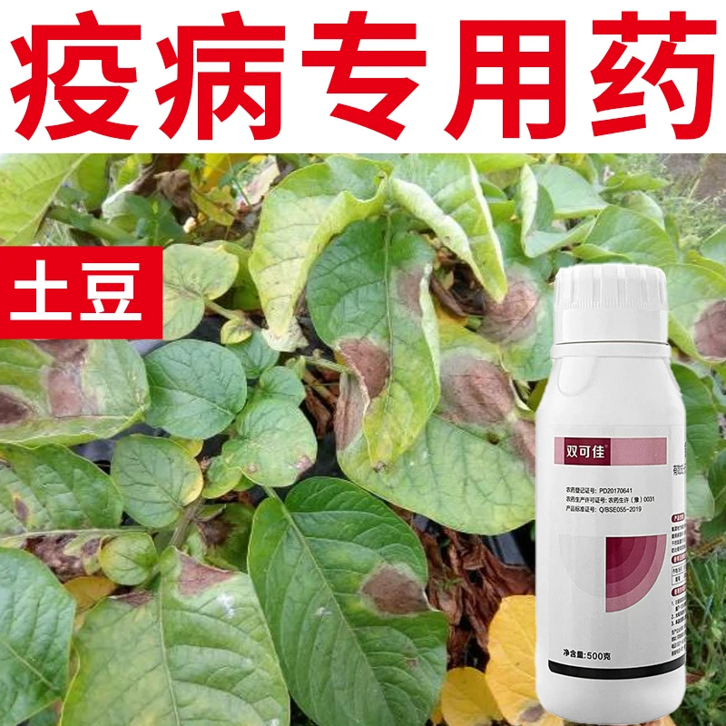 土豆马铃薯晚疫病专用药氰霜唑蔬菜霜霉病白锈病早疫病农药杀菌剂