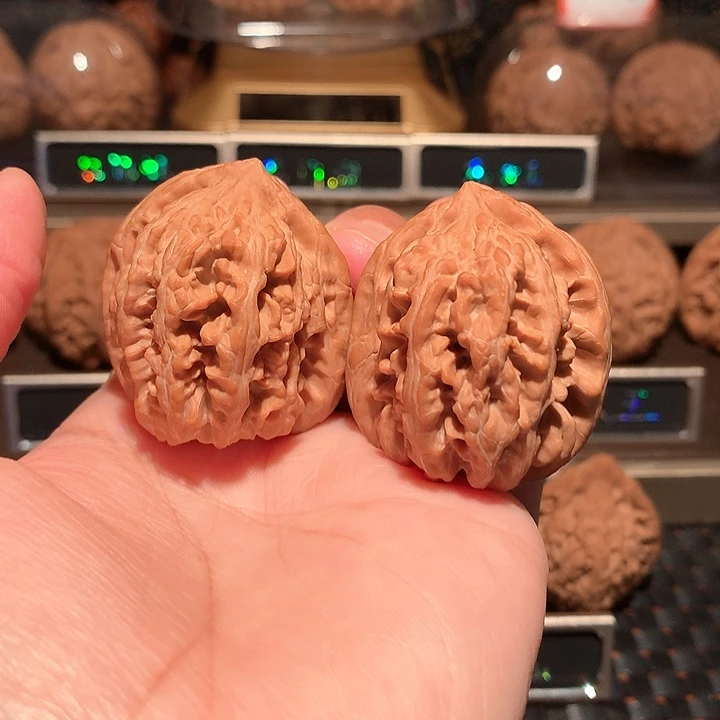 文玩核桃把件三羊骨