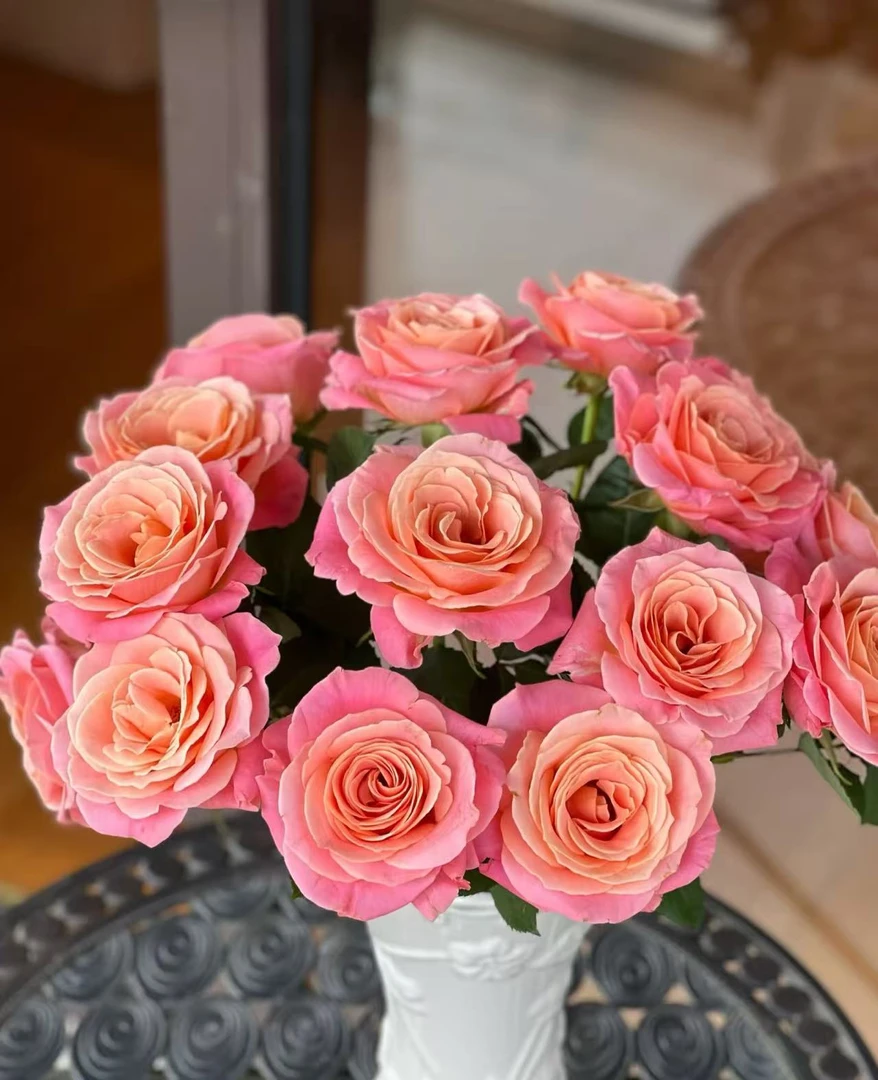鲜花【猪小姐】同地址两单以上顺丰/德邦包邮送货上门+送配草1扎